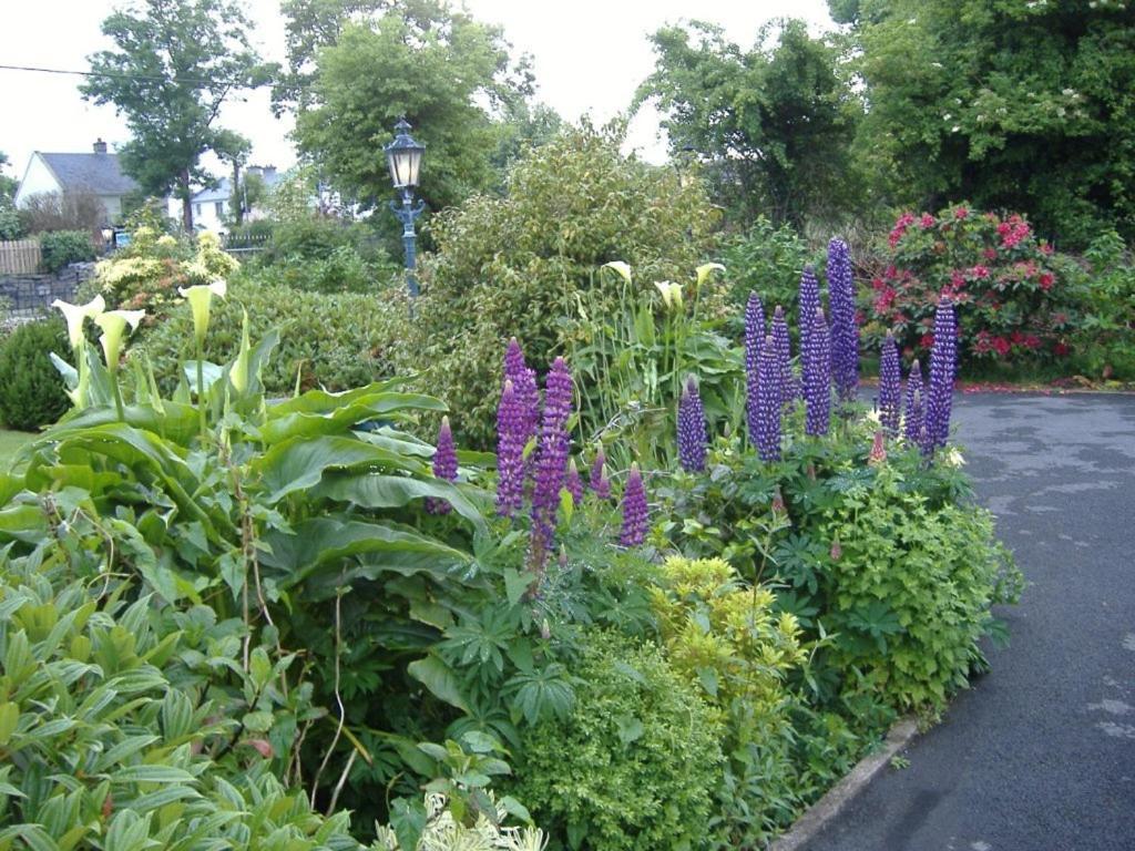 אוטרארד Riverwalk House B&B מראה חיצוני תמונה